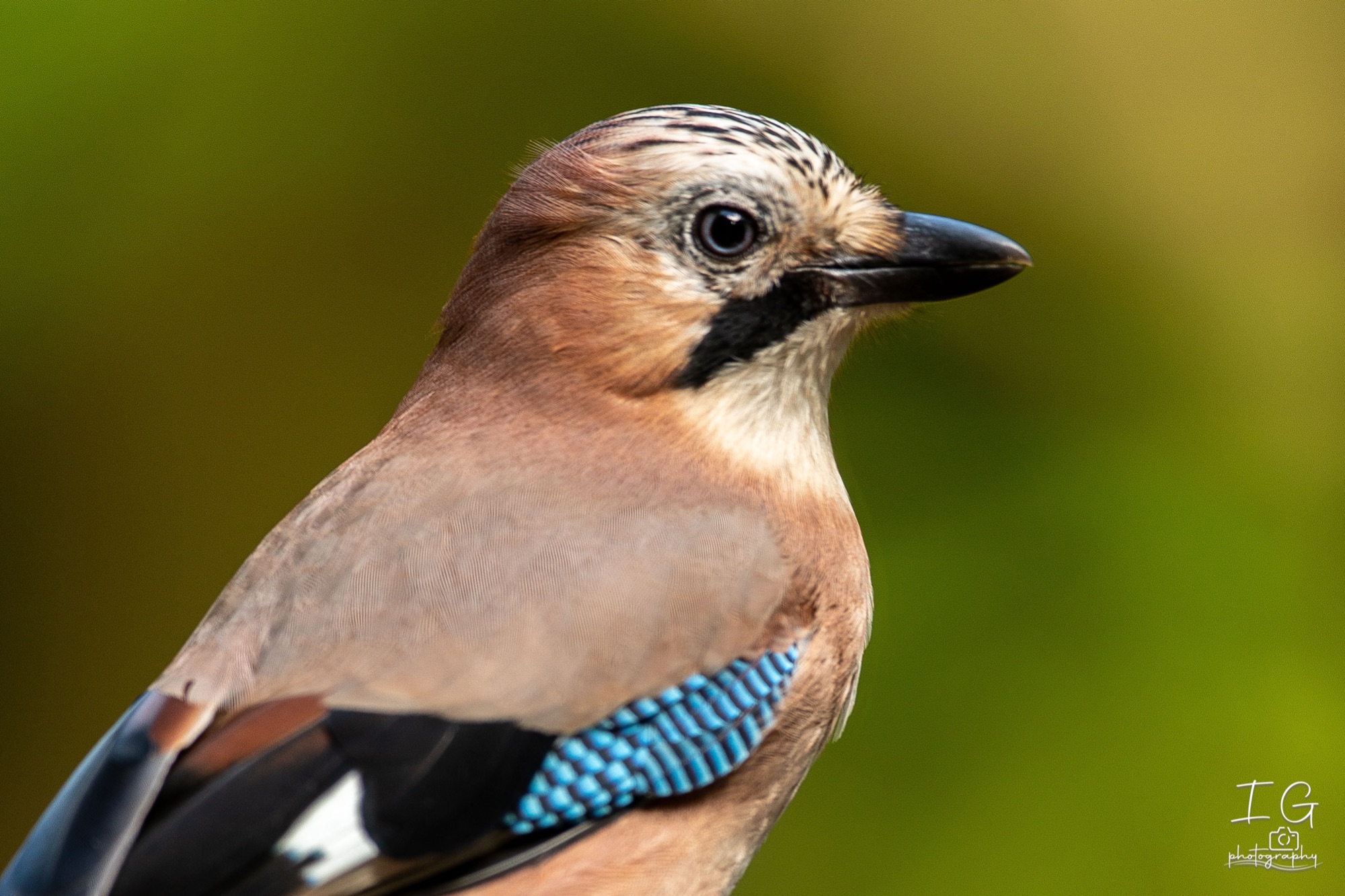 20211015  5D49148 instagram